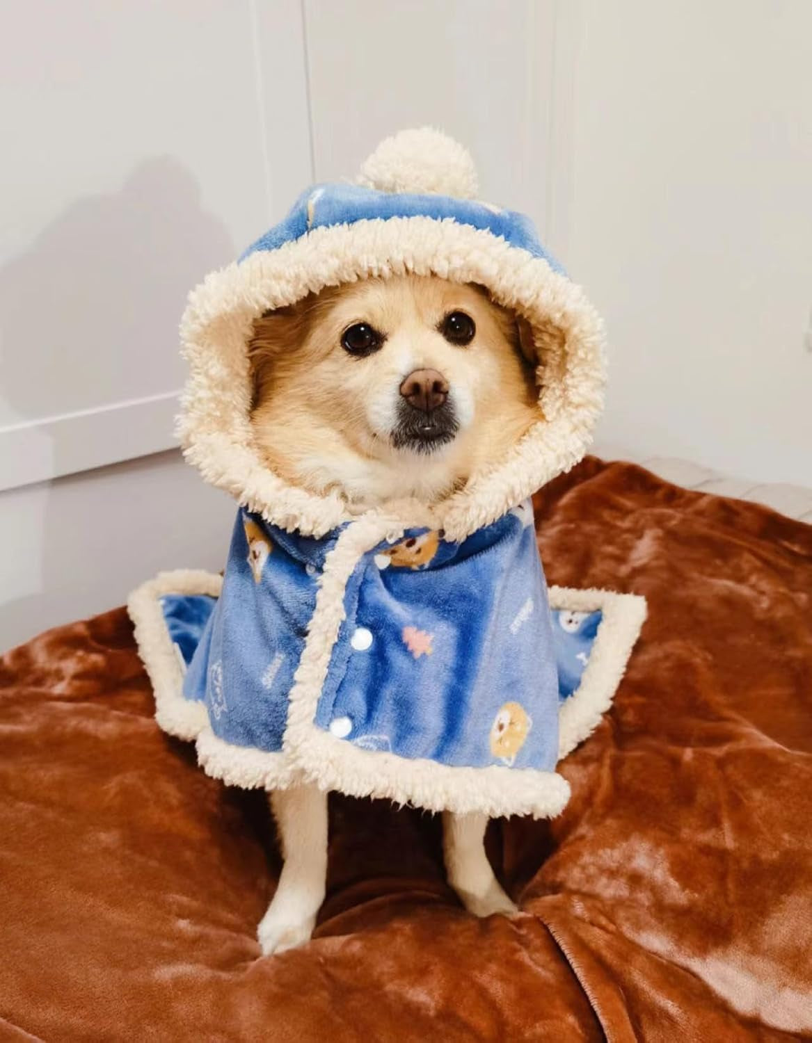 Dog Clothes Fleece Winter Coat Warm Soft Dog Vest for Cold Weather,Flannel Blanket Throw Multi-Use Pet Apparel for Small Medium Dogs & Cats(S Blue)