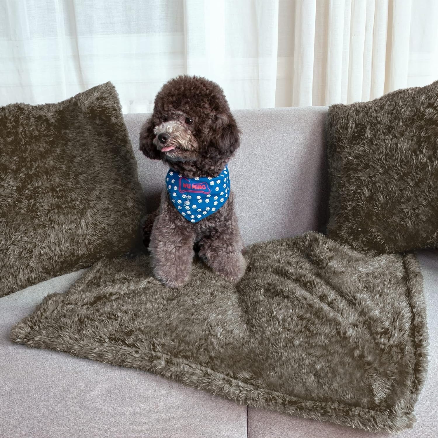 Fluffy Fleece Dog Blankets,Warm Soft Fuzzy Pets Blanket for Puppy,Small,Medium,Large Dogs and Cats,Plush Pet Throws for Bed,Couch,Sofa,Travel(24X29 Inch, Taupe)