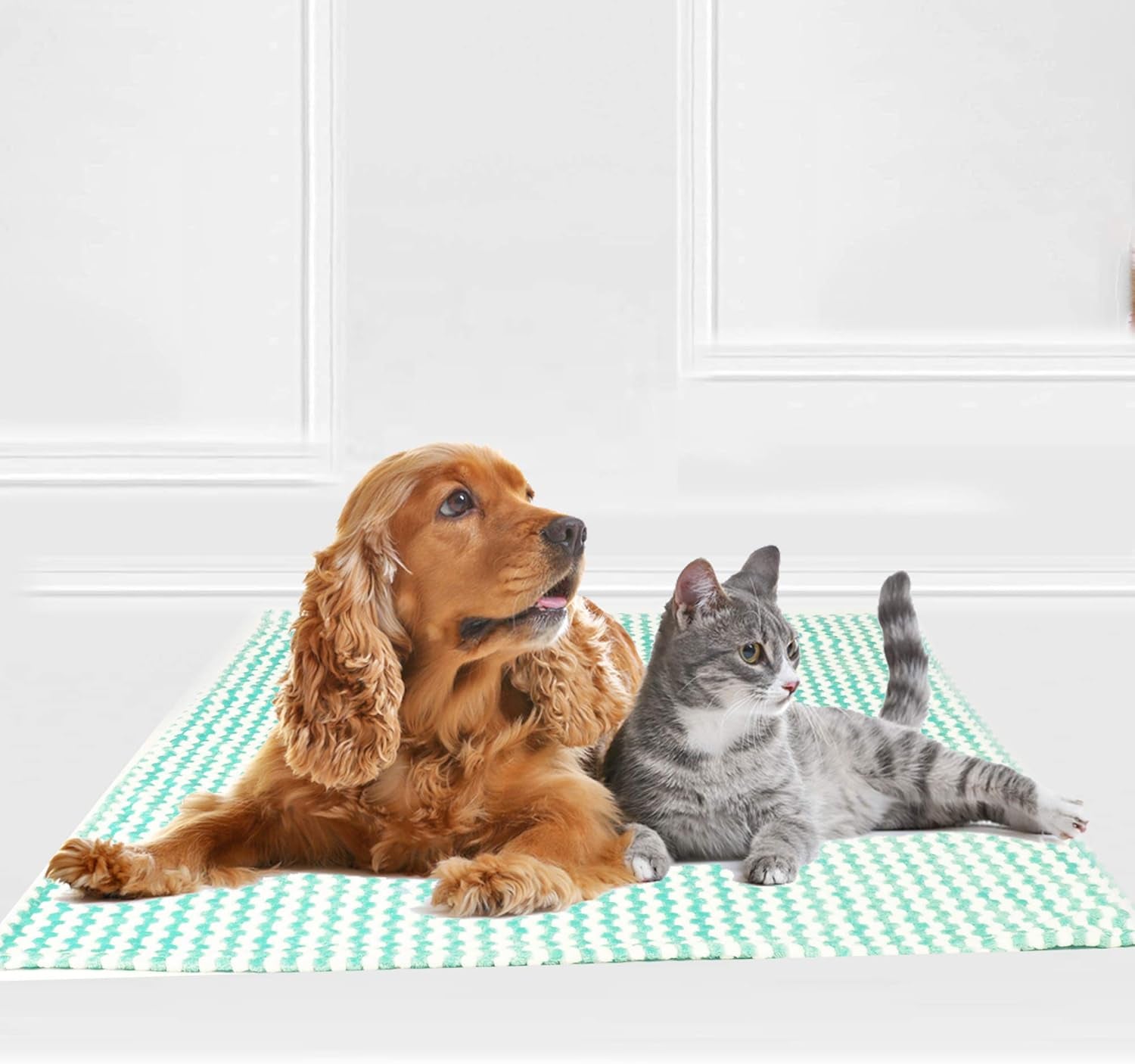 Dog Blanket, Premium Flannel Fluffy Fleece Blankets Soft and Warm Covers for Pets Dogs Cats Throw