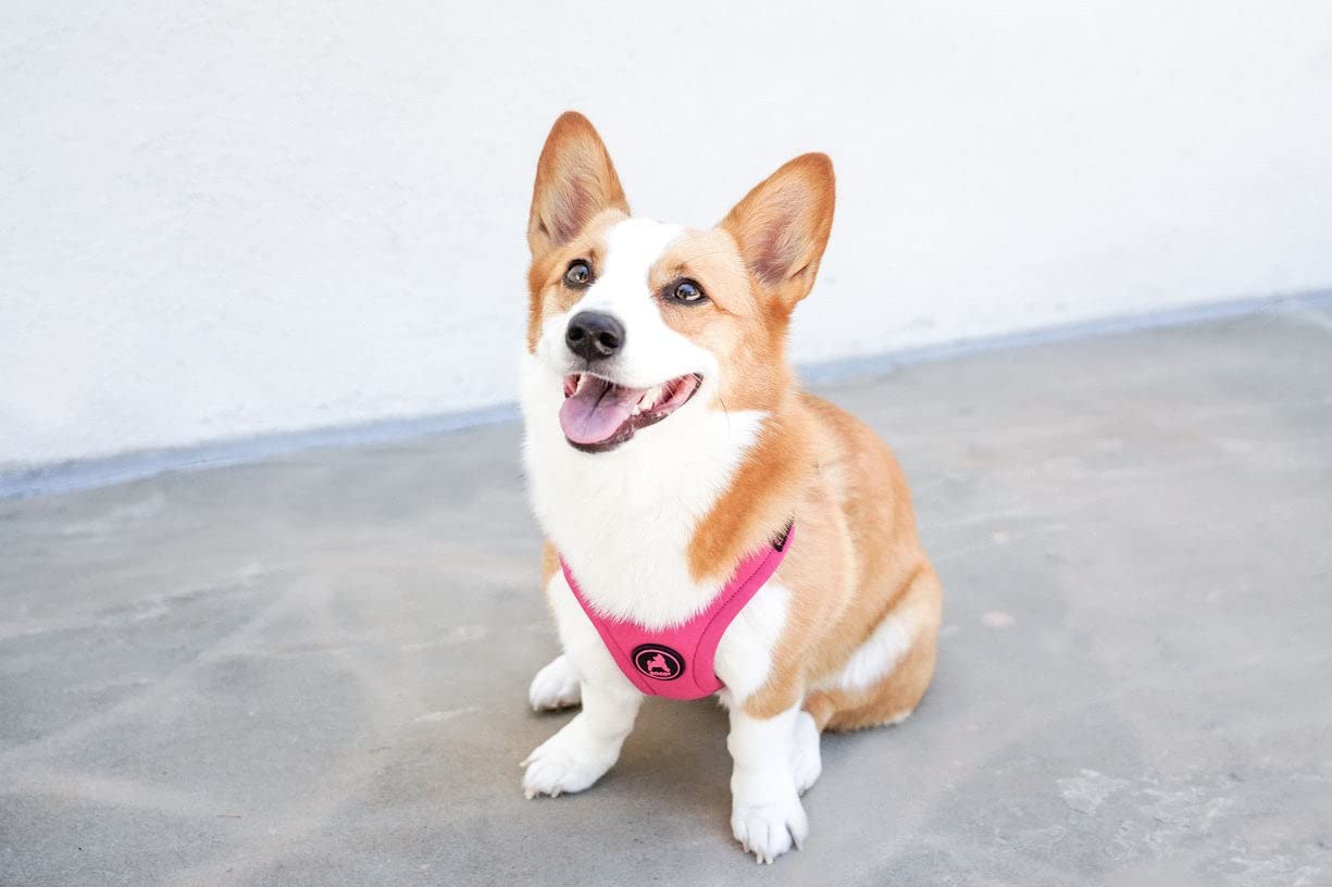 Gooby Escape Free Sport Harness