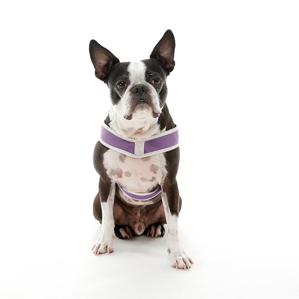 Gooby Simple Step in III Harness