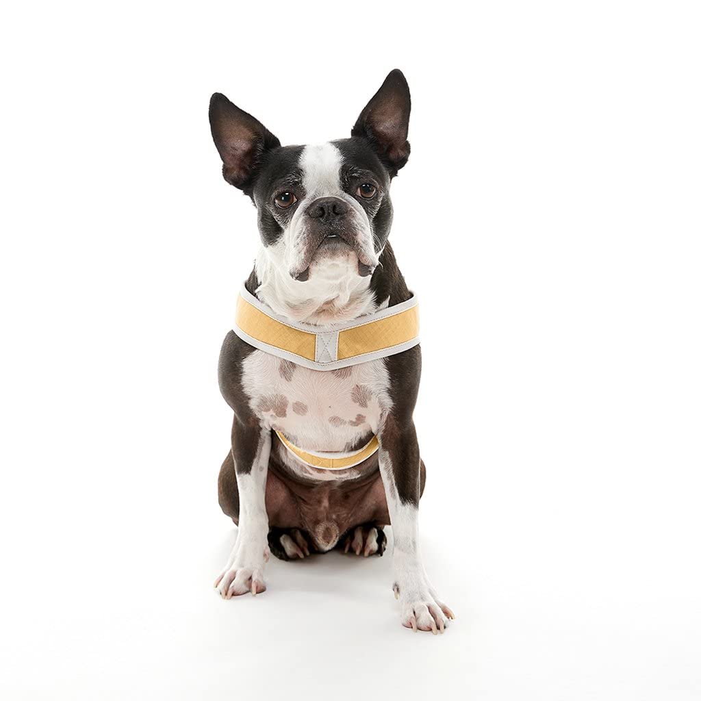 Gooby Simple Step in III Harness