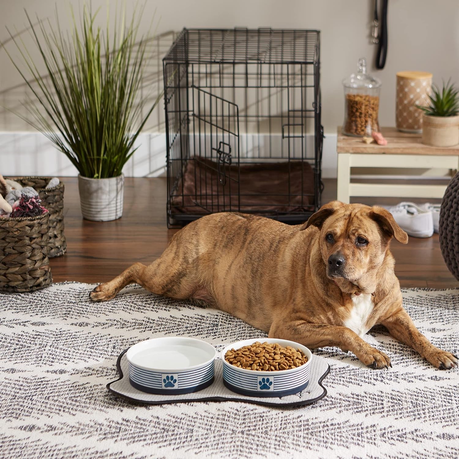 Paw & Patch Ceramic Pet Collection, Large Set, 7.5X2.4", Nautical Blue, (Pack of 2)