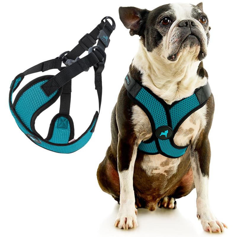 Gooby Comfort X Step in Lite Dog Harness