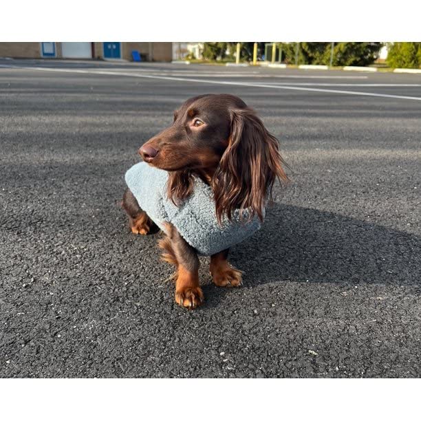 Gooby Sherpa Vest Dog Sweater