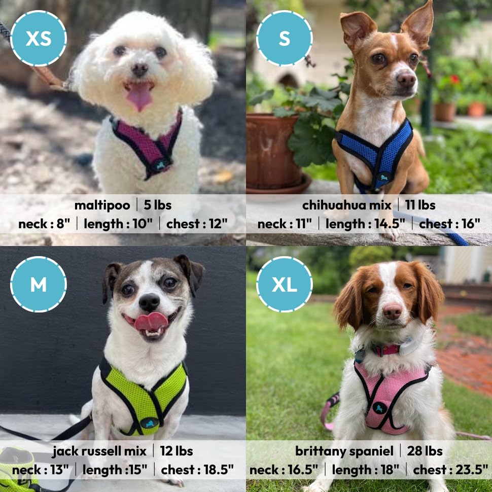 Gooby Comfort X Step in Lite Dog Harness