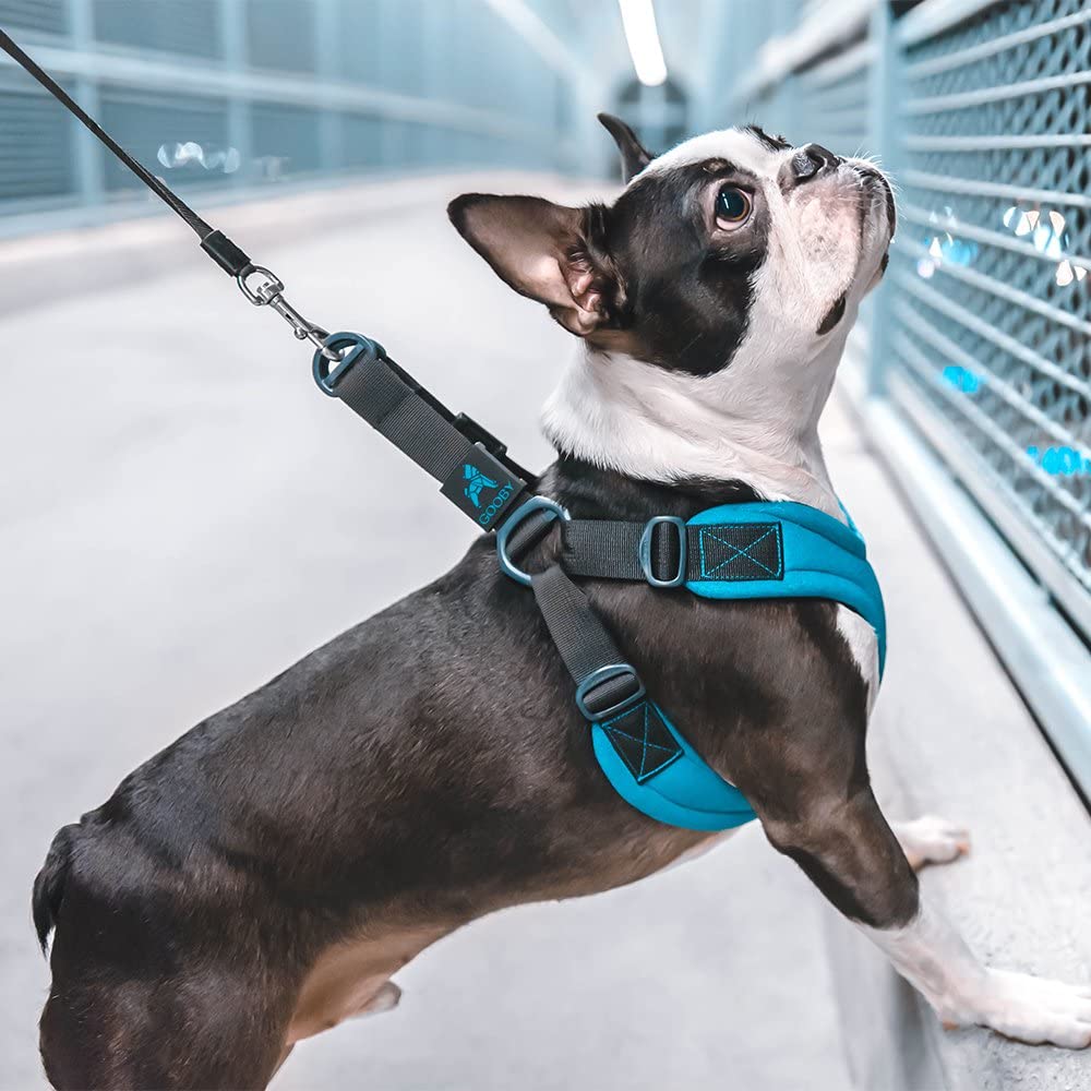 Gooby Escape Free Sport Harness