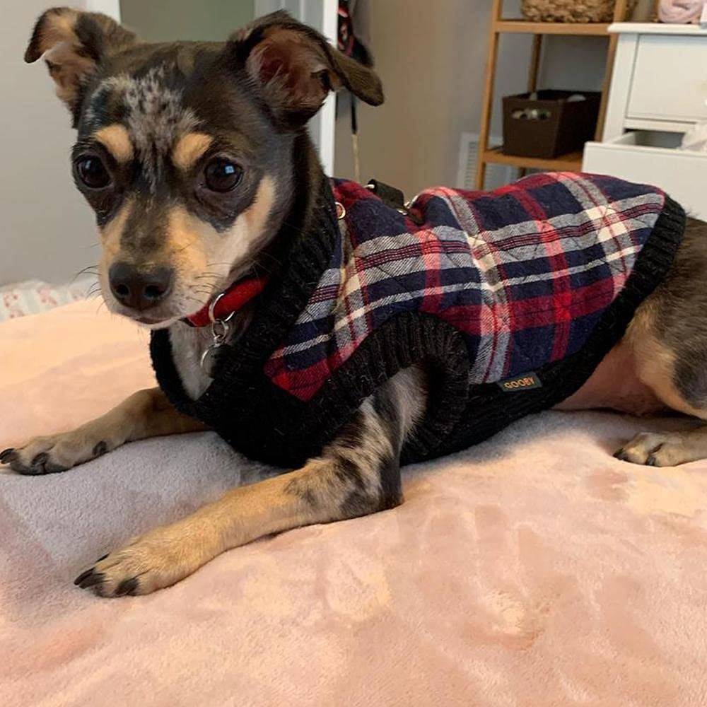 Gooby Fashion Vest Dog Jacket