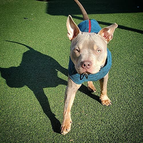 Gooby Zip Up Fleece Dog Sweater