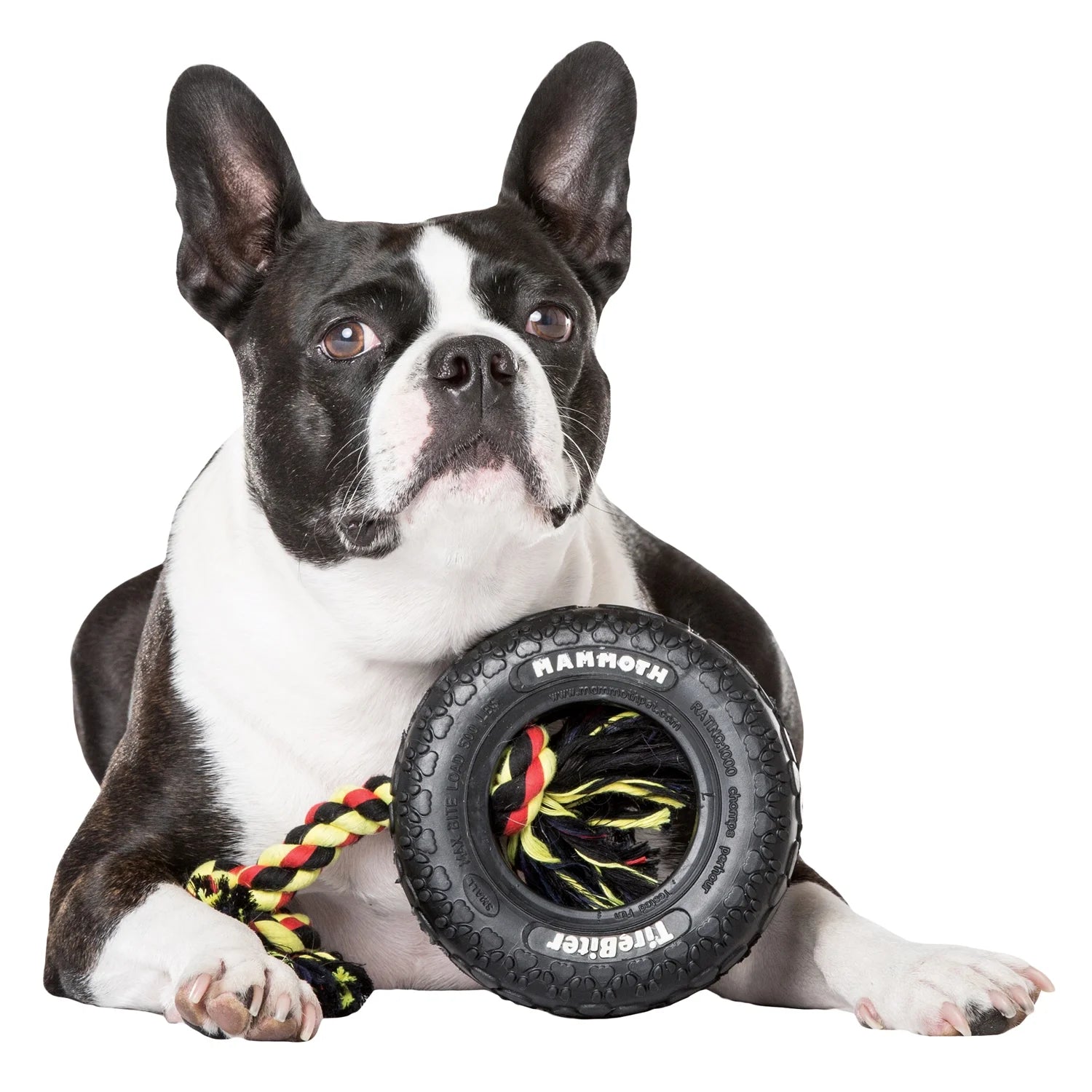 Tirebiter Original Rubber Dog Toy with Cottonblend Assorted Color Rope, Small 6"