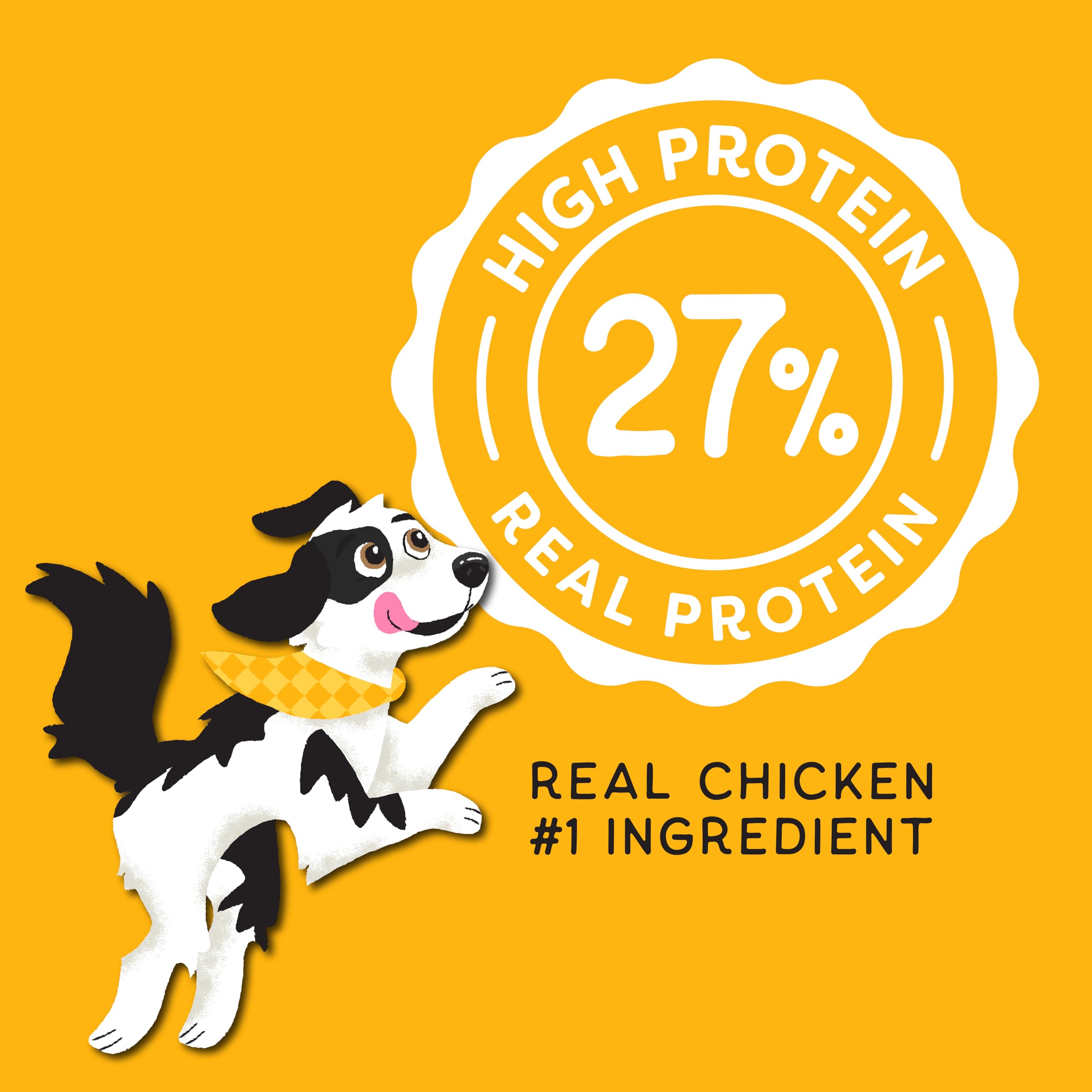 CHAMPS Soft Healthy Dog Treats - Savory Chicken - 16 oz