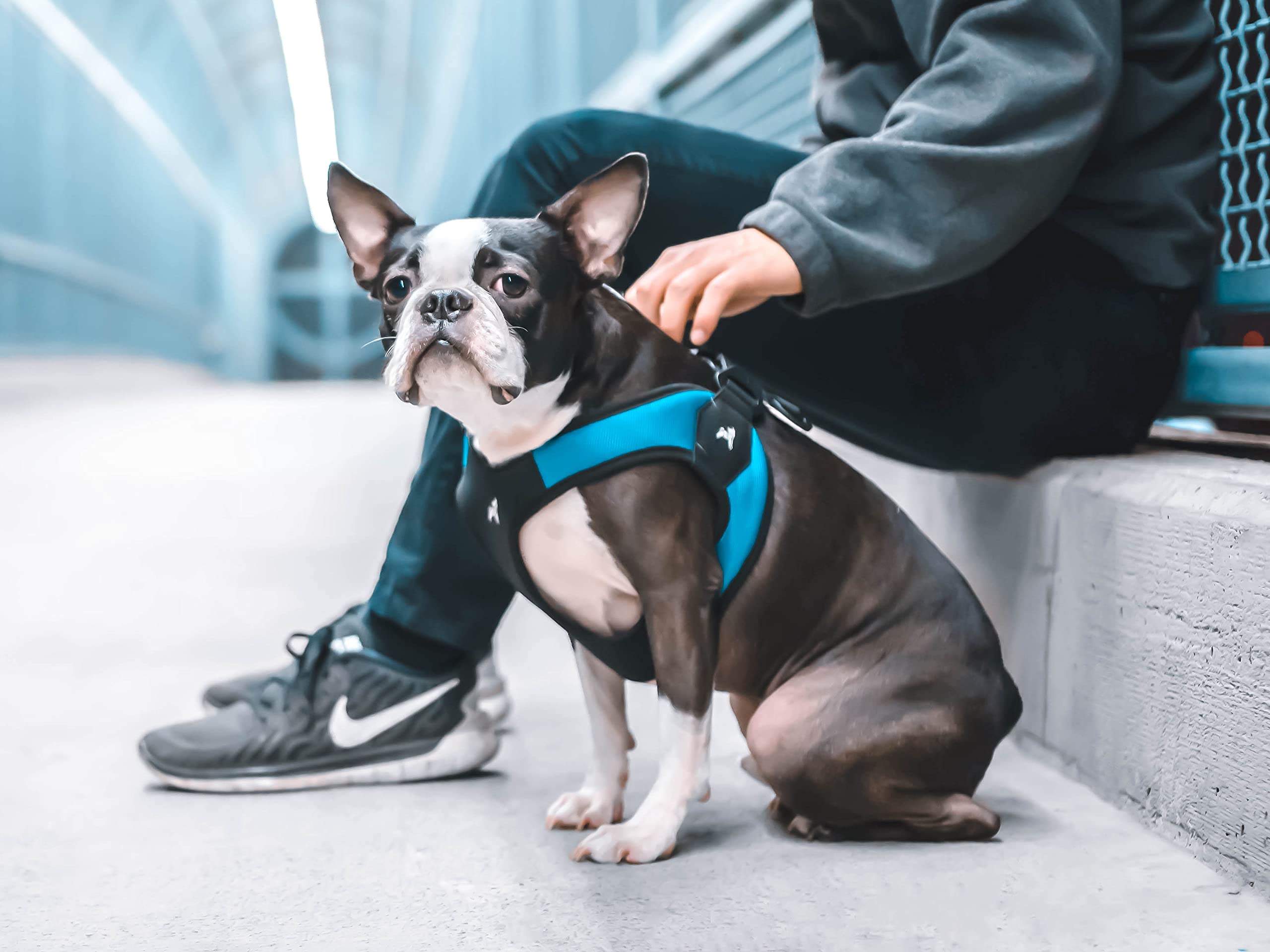 Gooby - Escape Free Easy Fit Harness