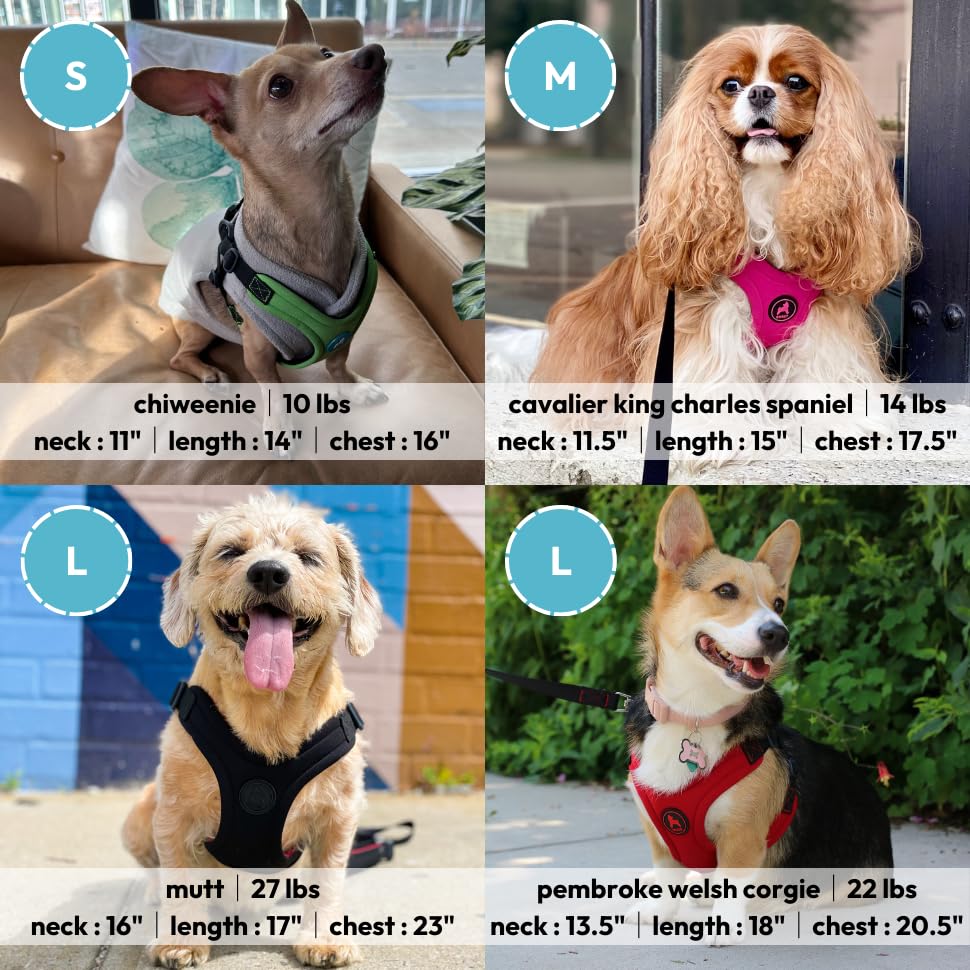 Gooby Escape Free Sport Harness