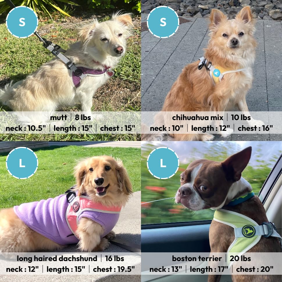 Gooby Simple Step in III Harness
