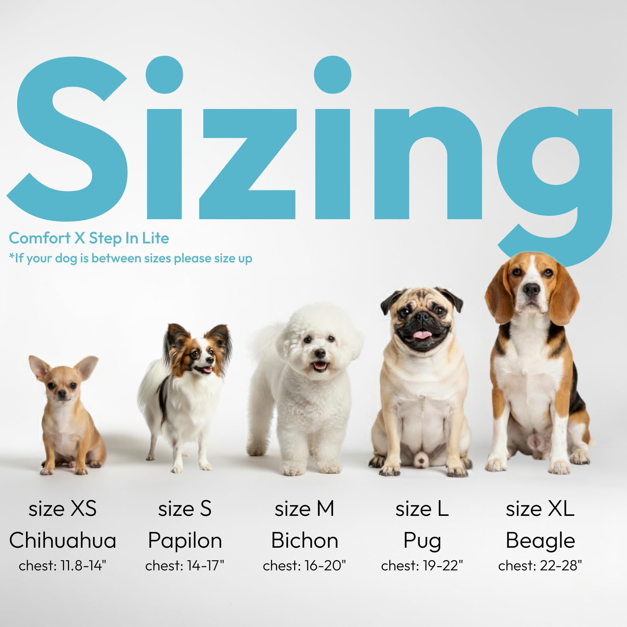 Gooby Comfort X Step in Lite Dog Harness