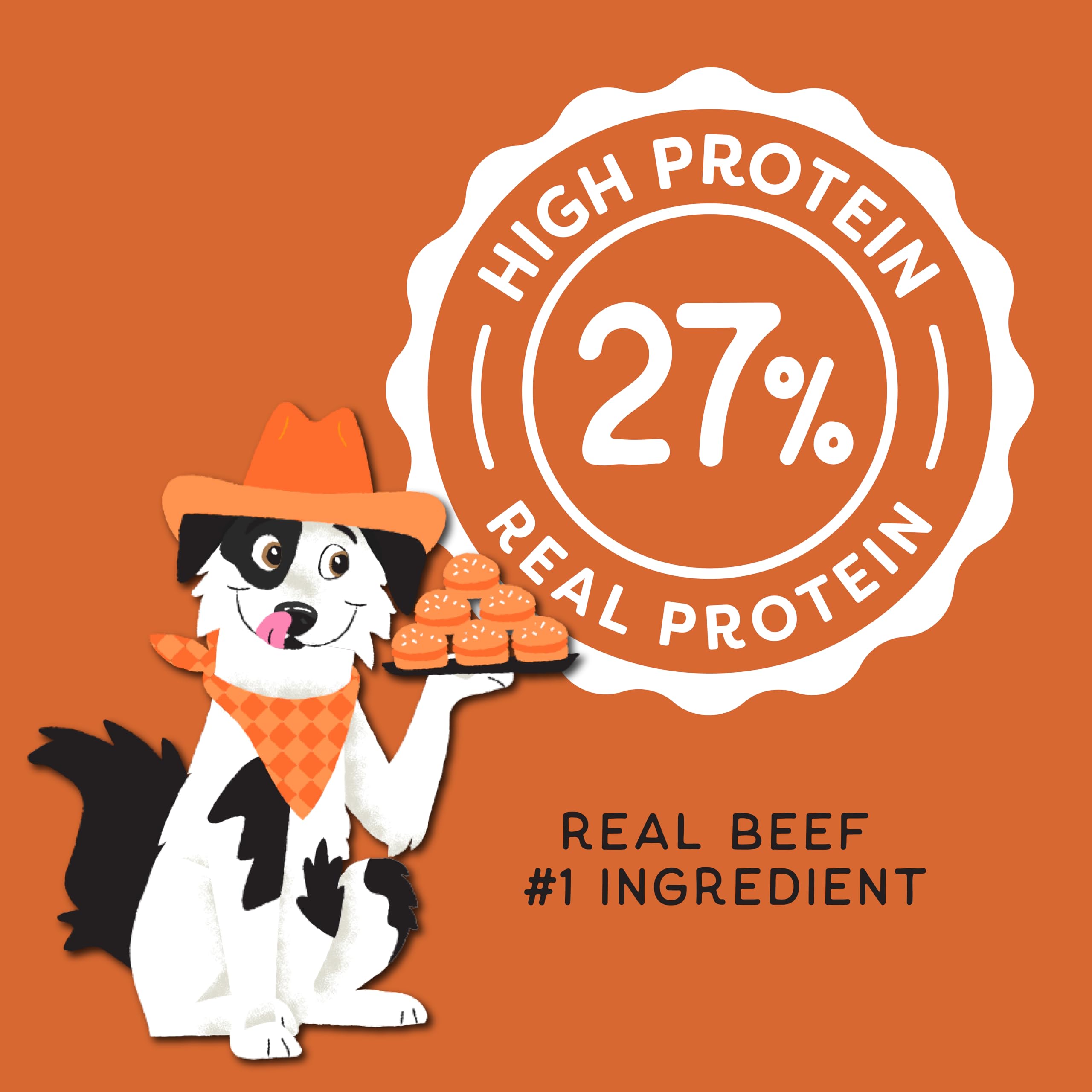 CHAMPS Soft Healthy Dog Treats  – Grain Free Chicken – 16 oz