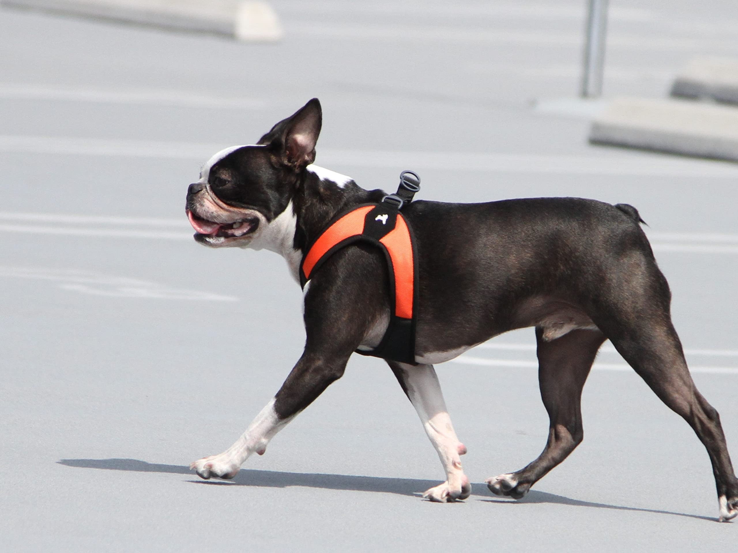 Gooby - Escape Free Easy Fit Harness