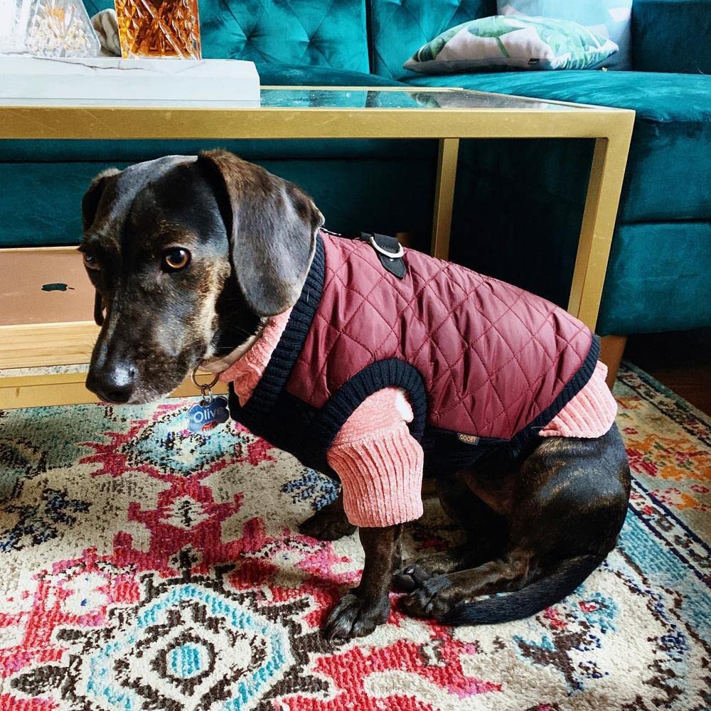 Gooby Fashion Vest Dog Jacket