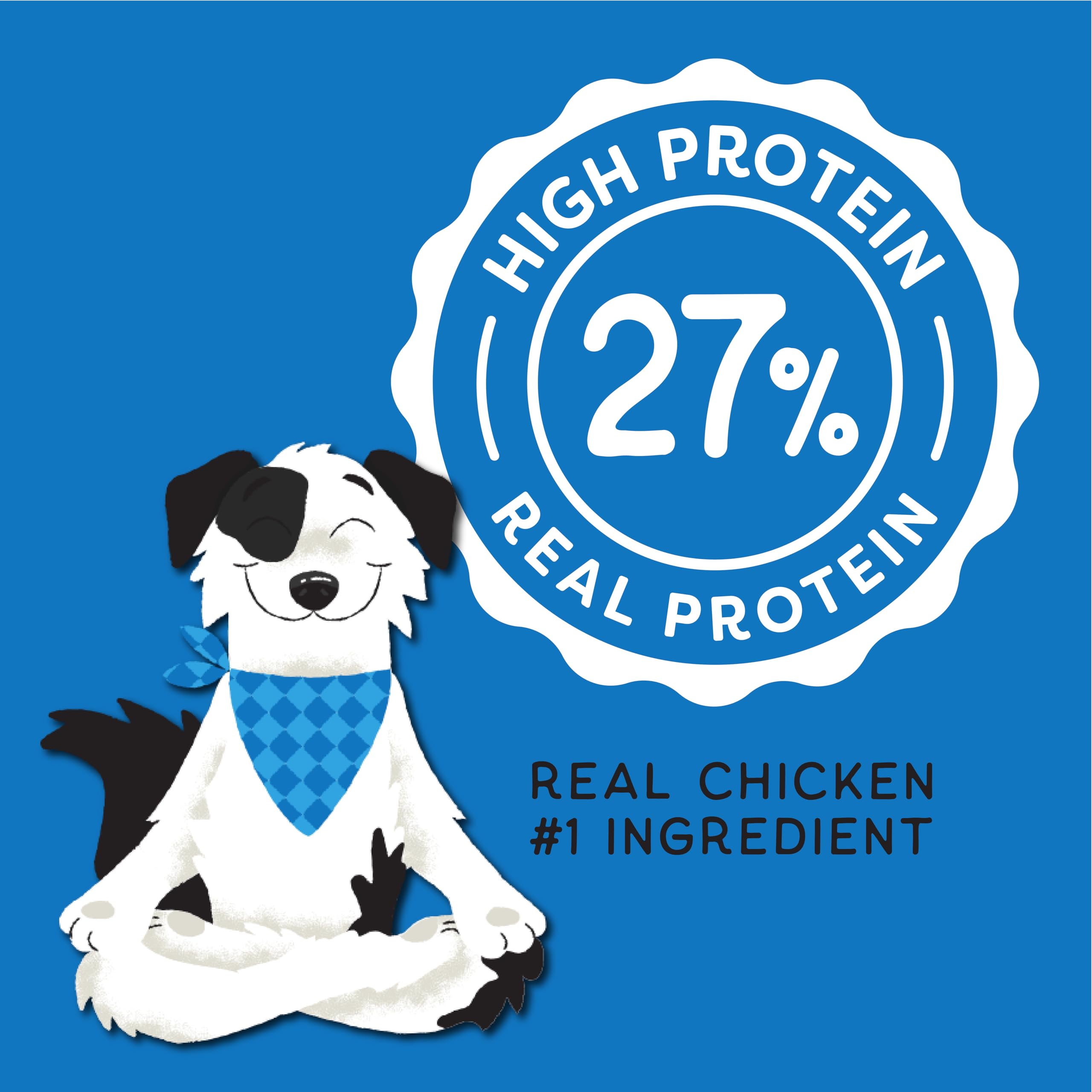 CHAMPS Soft Healthy Dog Treats - Smoky Pork - 16 oz