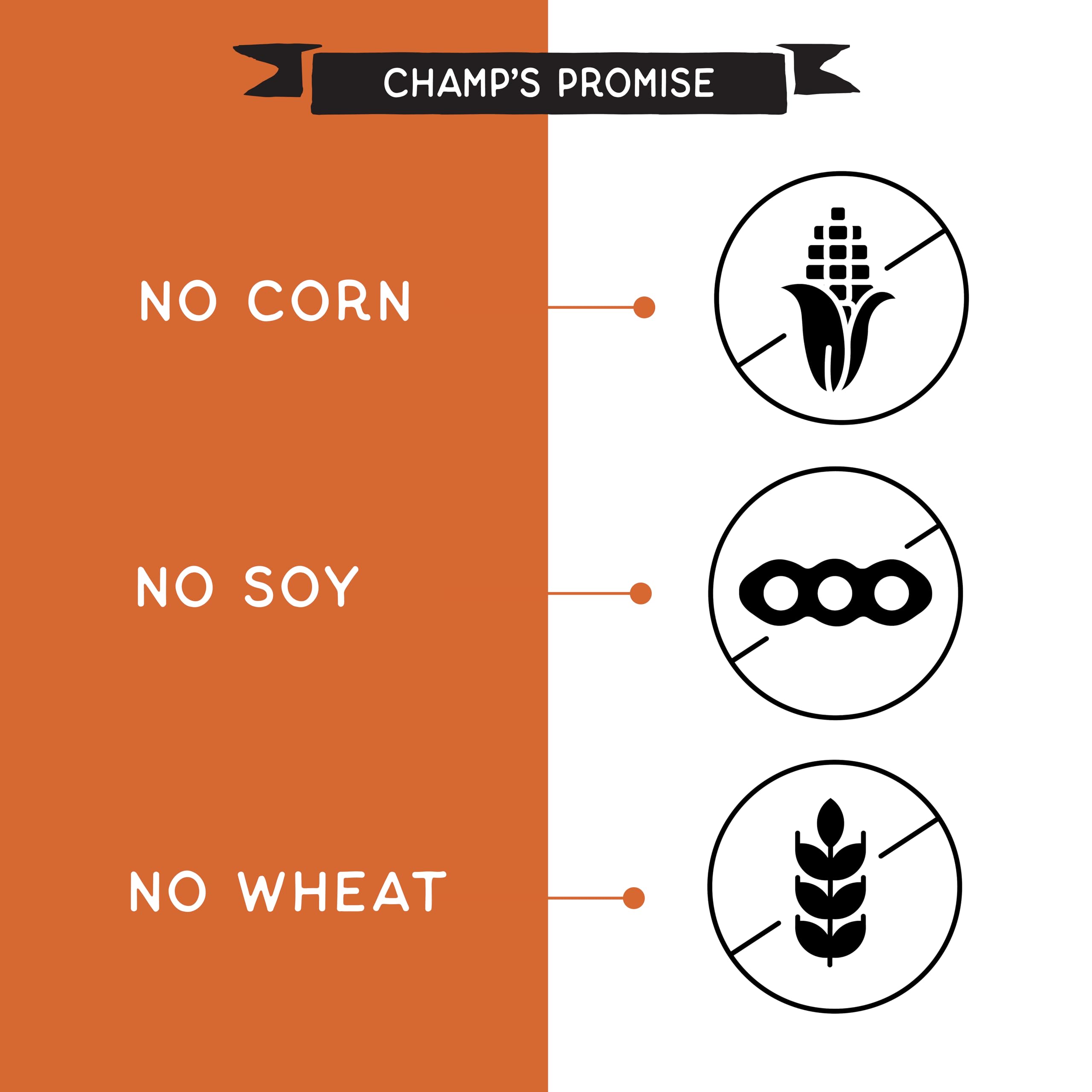 CHAMPS Soft Healthy Dog Treats - Grain Free Salmon - 16 oz