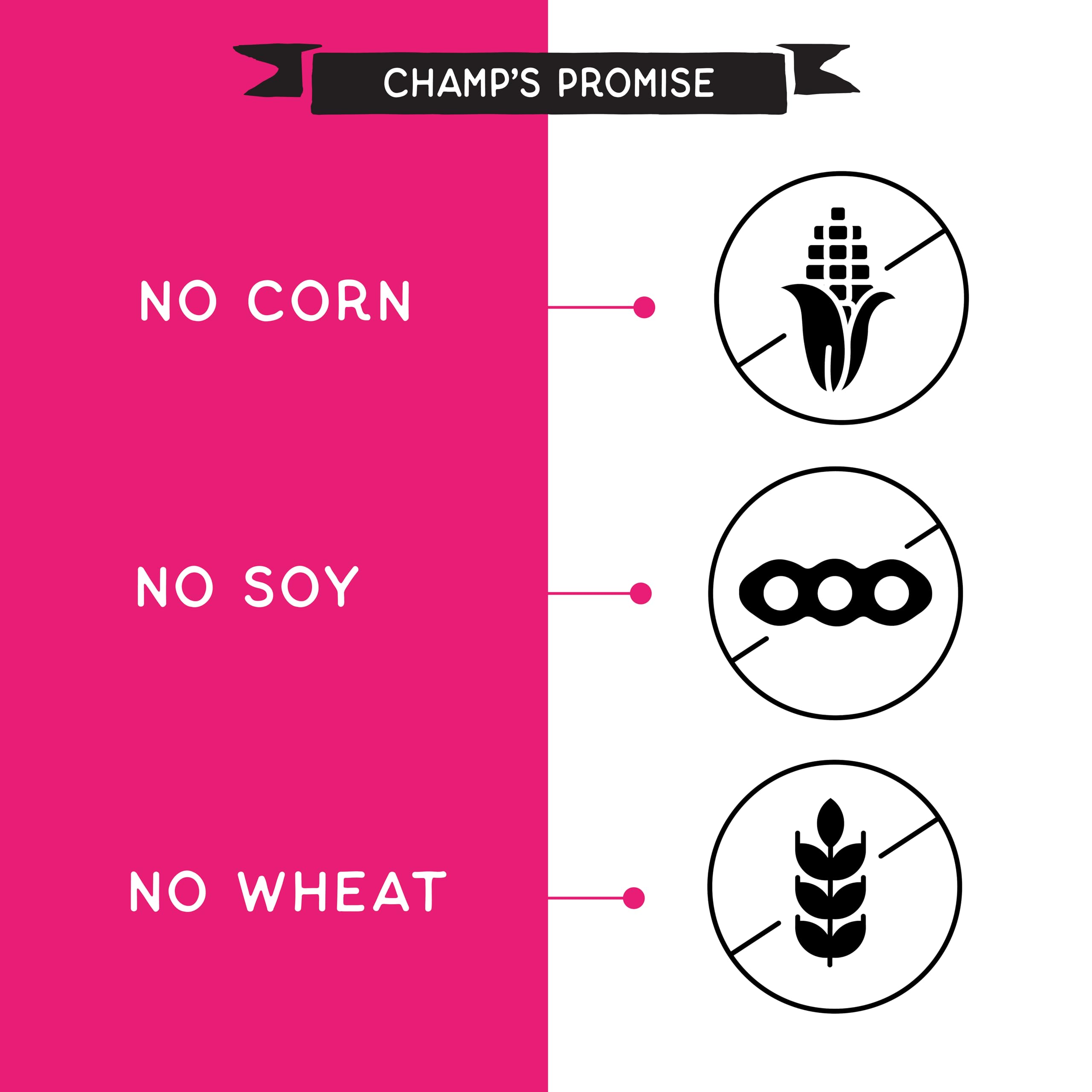 CHAMPS Soft Healthy Dog Treats - Grain Free Salmon - 16 oz