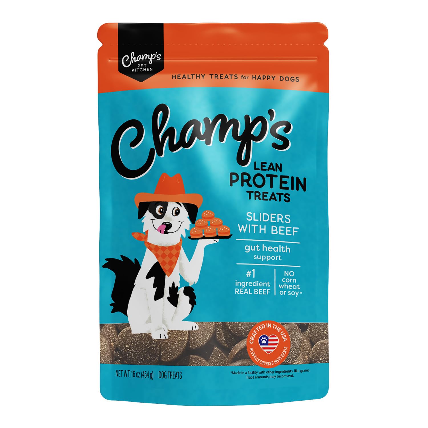 CHAMPS Soft Healthy Dog Treats  – Grain Free Chicken – 16 oz