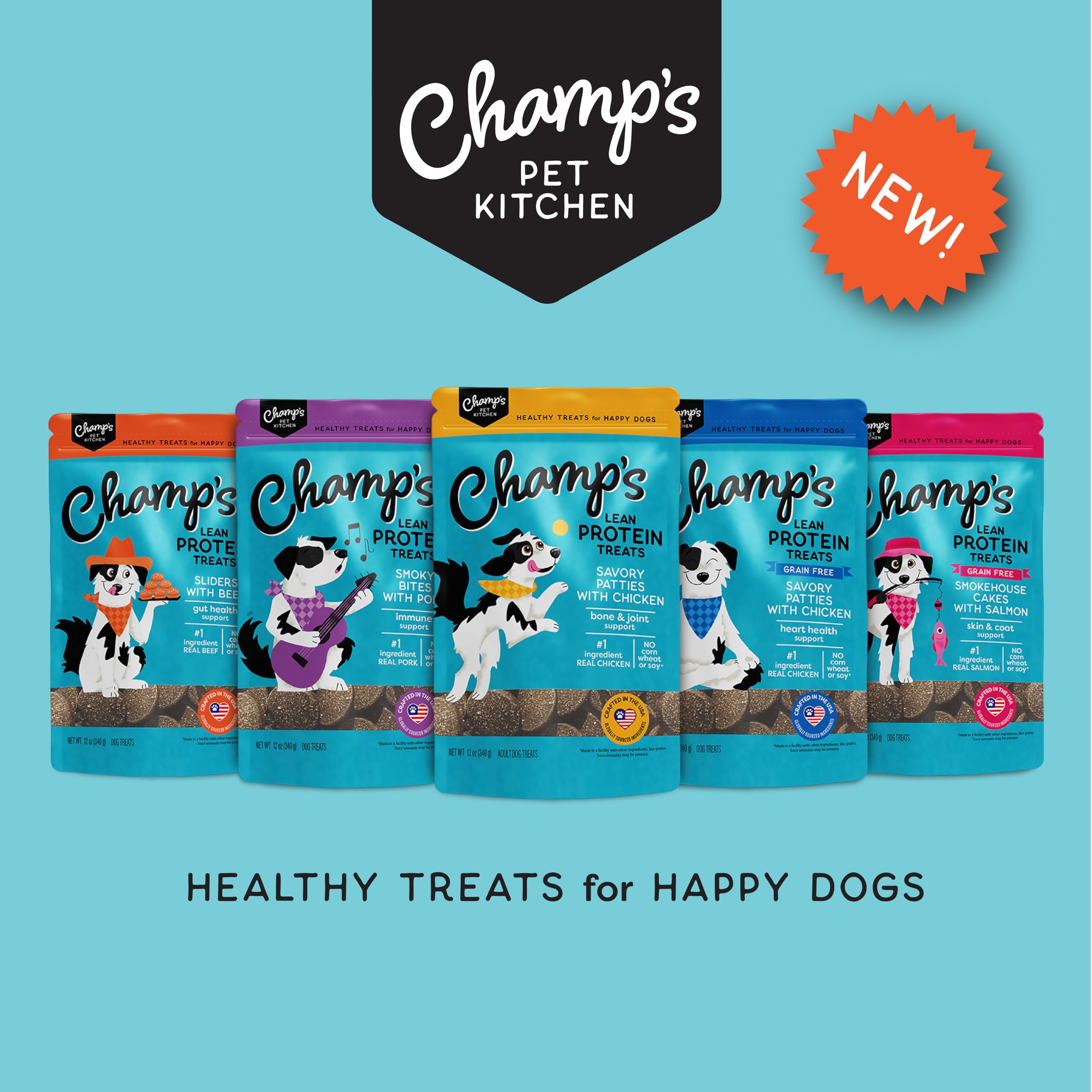 CHAMPS Soft Healthy Dog Treats - Savory Chicken - 16 oz
