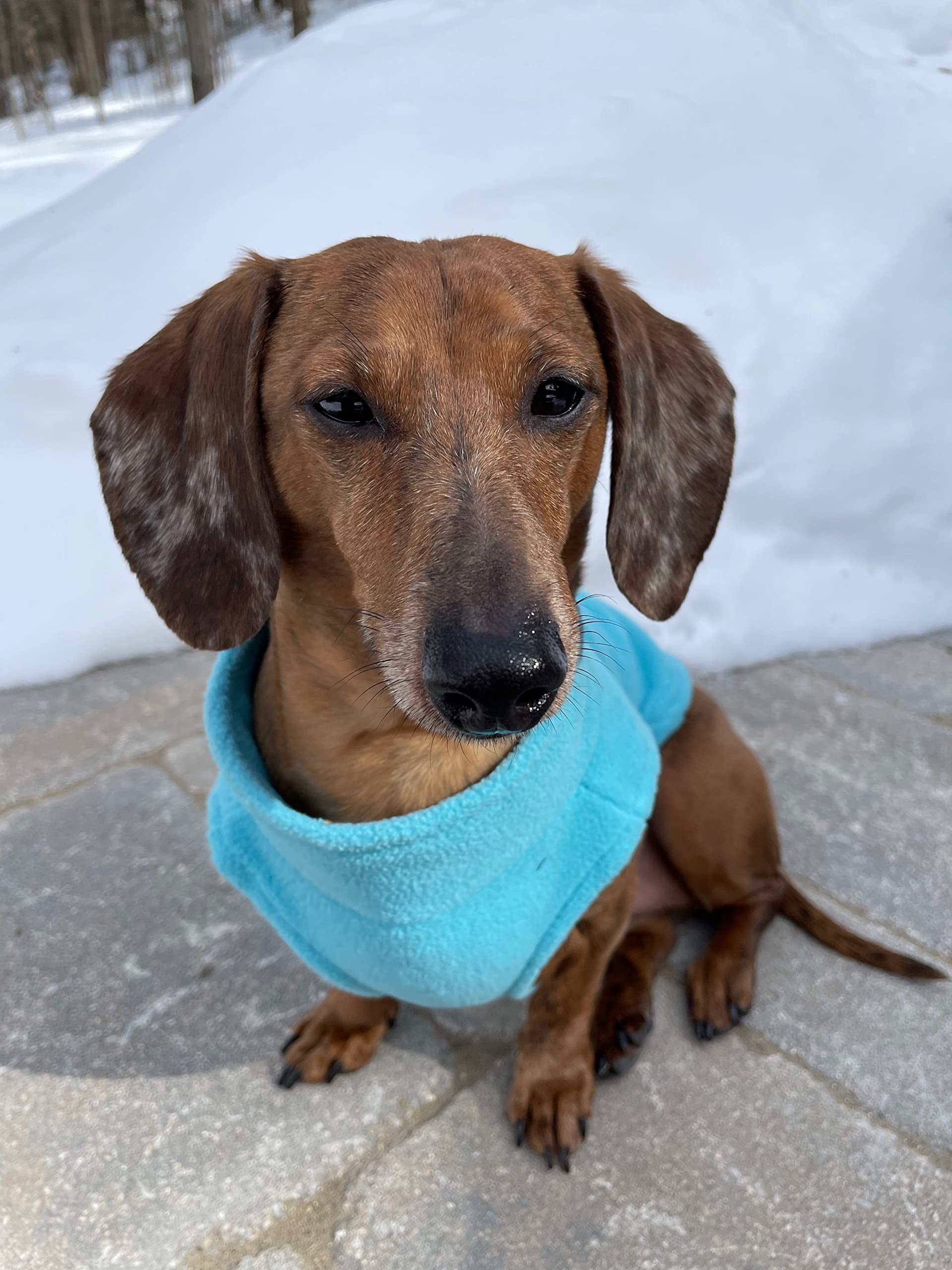 Gooby Zip Up Fleece Dog Sweater