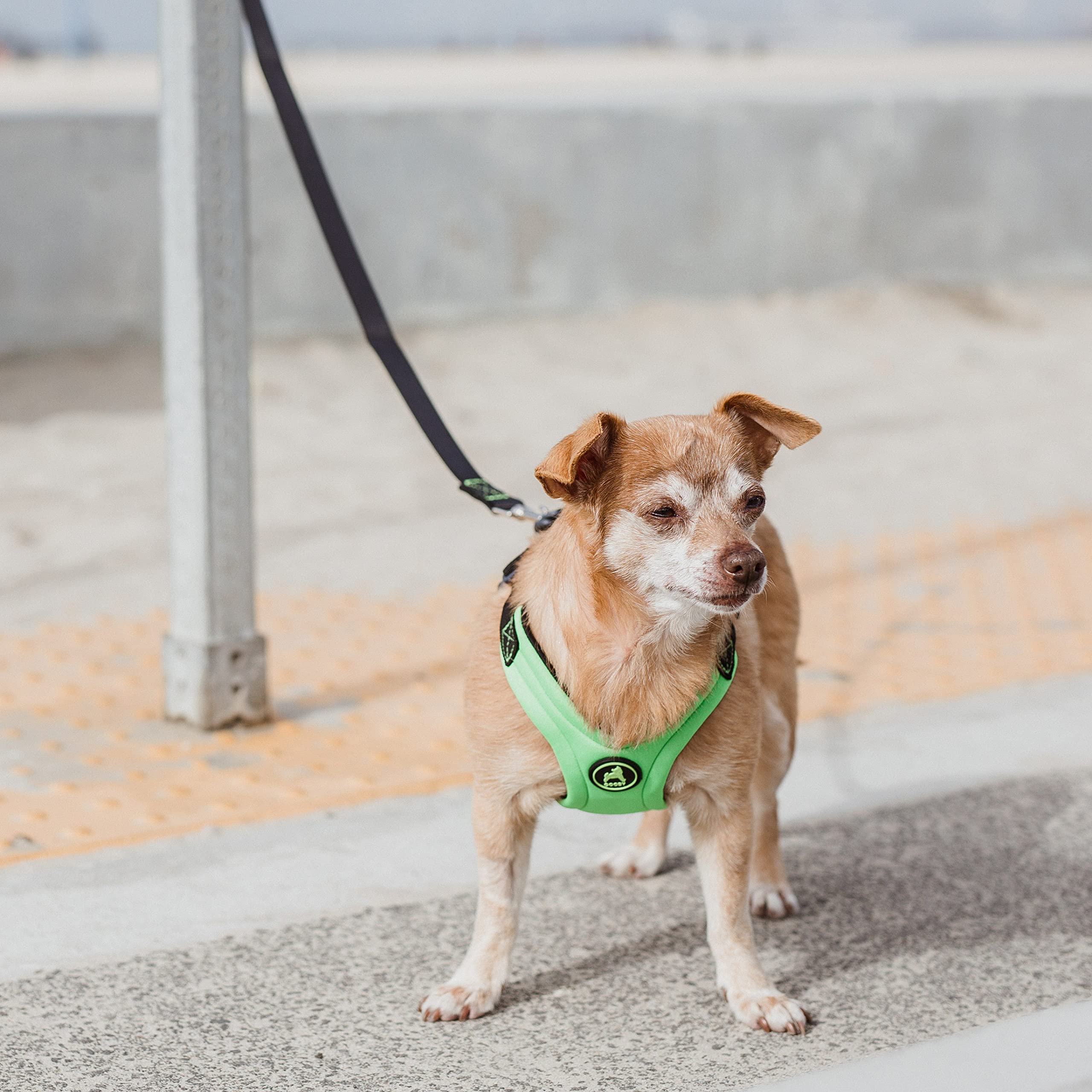 Gooby Escape Free Sport Harness