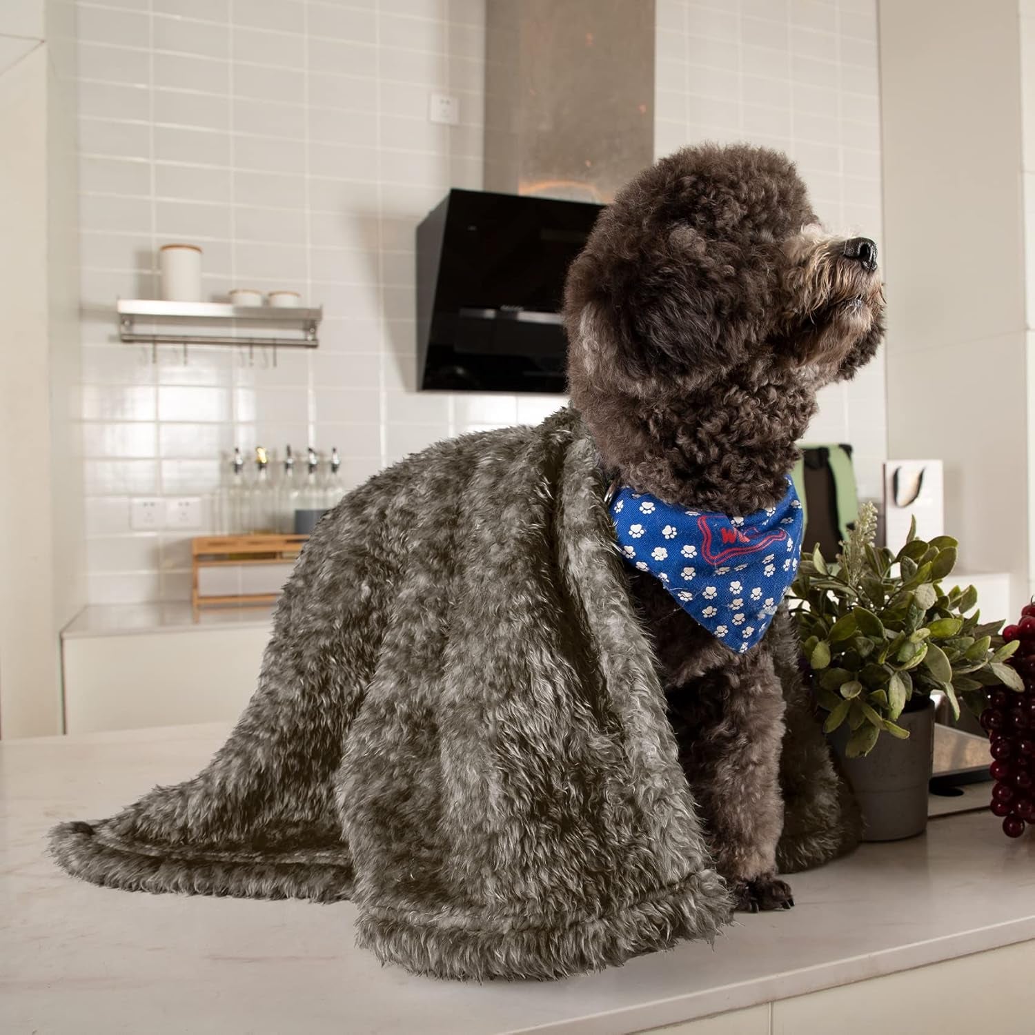 Fluffy Fleece Dog Blankets,Warm Soft Fuzzy Pets Blanket for Puppy,Small,Medium,Large Dogs and Cats,Plush Pet Throws for Bed,Couch,Sofa,Travel(24X29 Inch, Taupe)