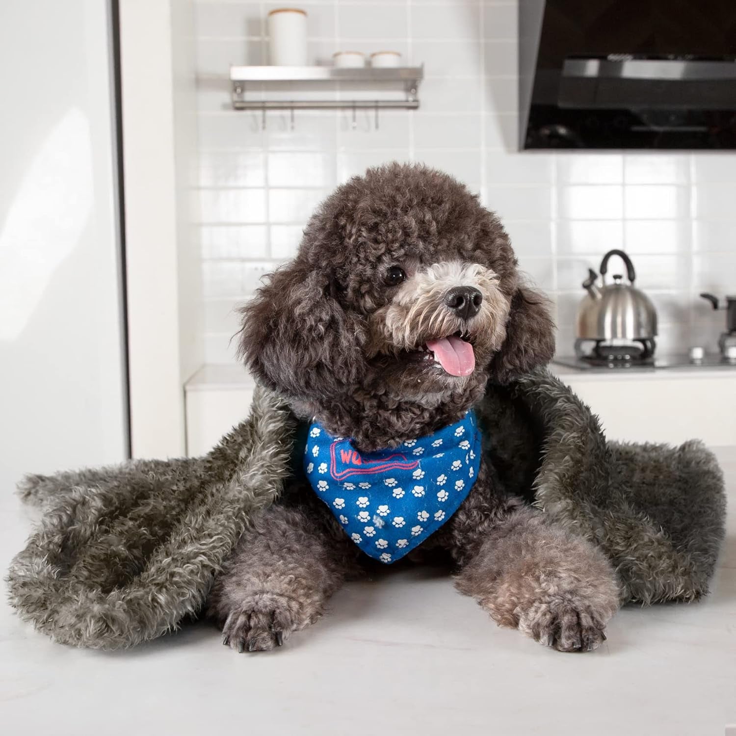 Fluffy Fleece Dog Blankets,Warm Soft Fuzzy Pets Blanket for Puppy,Small,Medium,Large Dogs and Cats,Plush Pet Throws for Bed,Couch,Sofa,Travel(24X29 Inch, Taupe)