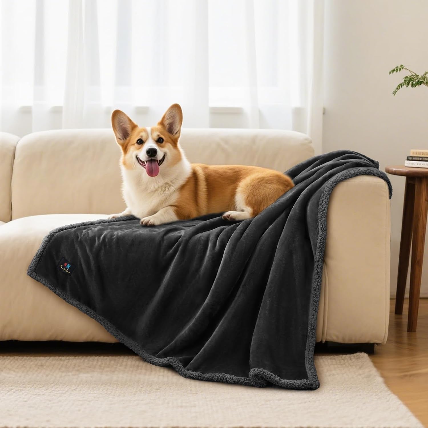 Waterproof Bed Blanket Washable,Soft Sherpa Fleece Puppy Reversible Throw Blankets for Small Dog Cat, Furniture Cover Protector Couch Bed from Liquid Pee and Pet Fur, Black, 40" X 28"